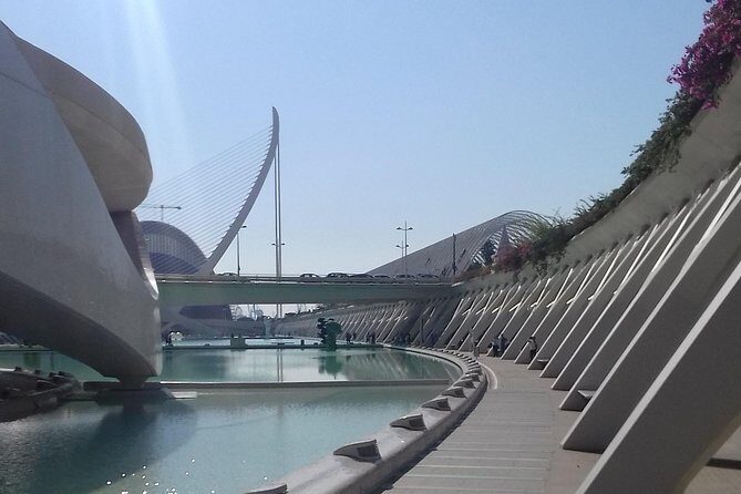 The City of Arts and Sciences in Valencia - Getting the big picture: Calatrava’s City of Arts and Sciences story