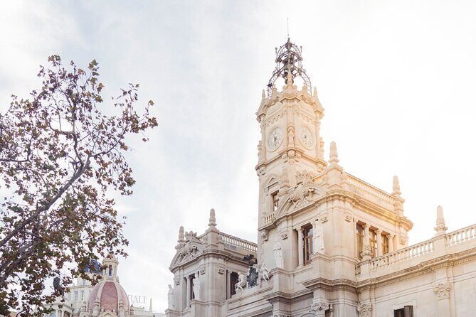The Essentials of Valencia in a Guided Tour - Plaça de la Mare de Déu: cathedral power plus fountain charm