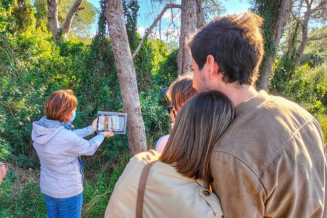 The Original Albufera Tour: Barraca, Boat Ride & Local Guide - Key things to know before you go