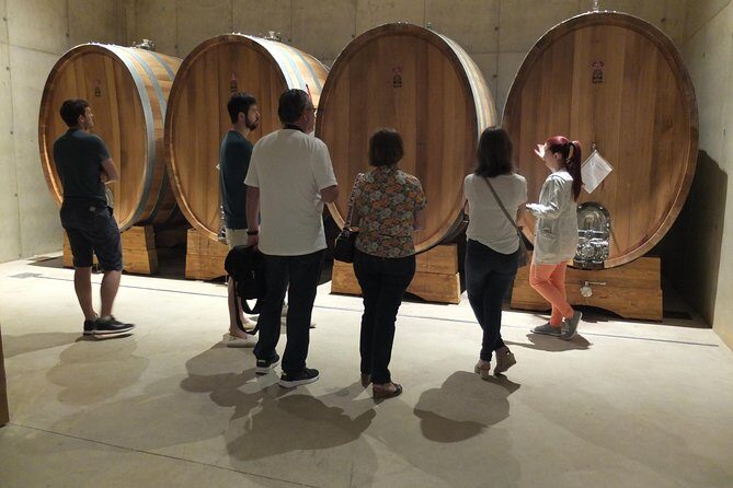 Two wineries tour with wine tasting - A Valencia wine day that feels like a real plan, not a rushed loop
