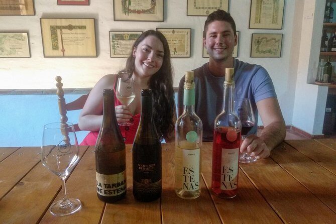 Two wineries tour with wine tasting - Stop 1: first winery visits can be big cellar caves or a full production site