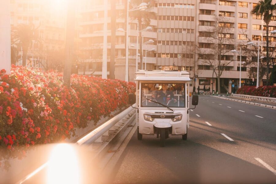Valencia 1 hour by TukTuki: Essential and Private Tour - A Tuk-Tuk Hour in Valencia: The Value of Seeing a Lot Without Rushing