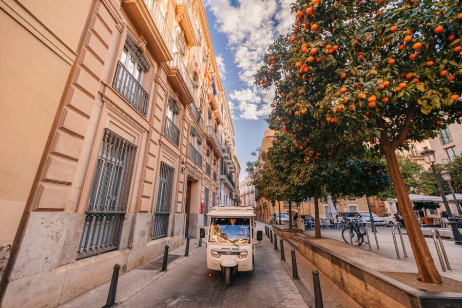 Valencia 1 hour by TukTuki: Essential and Private Tour - Mercado de Colón: A Stop That Feels Like Valencia’s Everyday Side