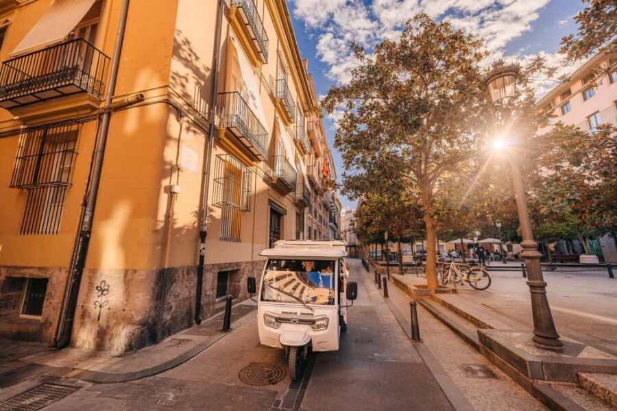 Valencia: 2-hour City Highlights Guided Tuk-Tuk Tour - Starting at C. de la Blanqueria 3: a simple meet point, minimal fuss