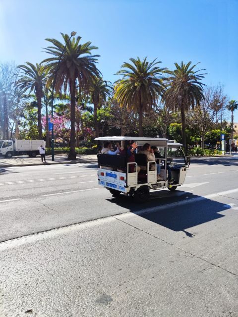 Valencia: 2-hour City Highlights Guided Tuk-Tuk Tour - Mestalla Stadium and La Marina de València: where Valencia breathes beyond the center
