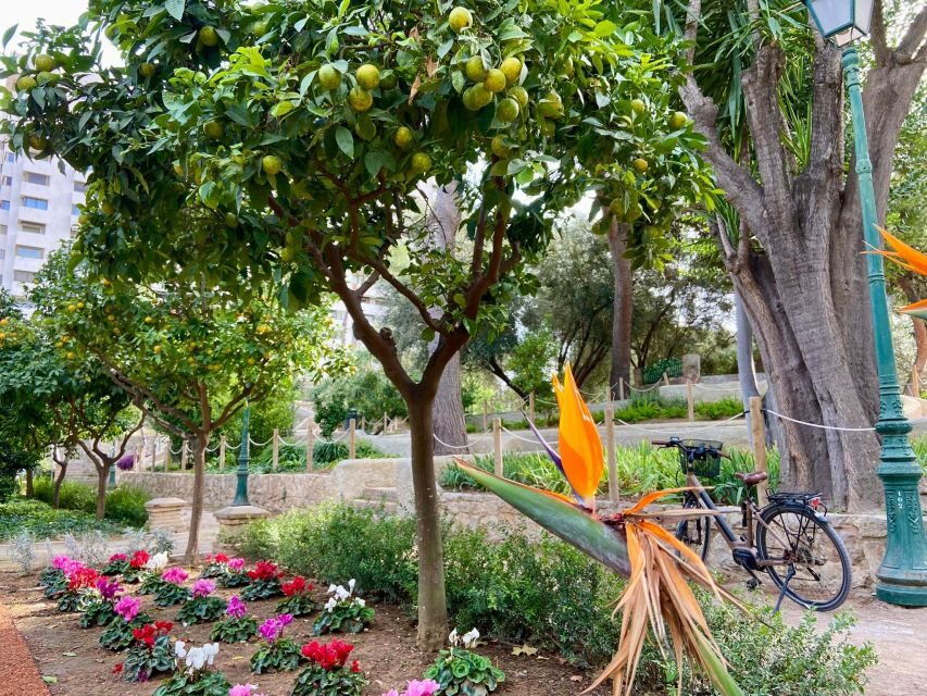 Valencia: 2-in-1 Biking and Walking Audio-Guided Route - Smart planning tips so the app feels smooth
