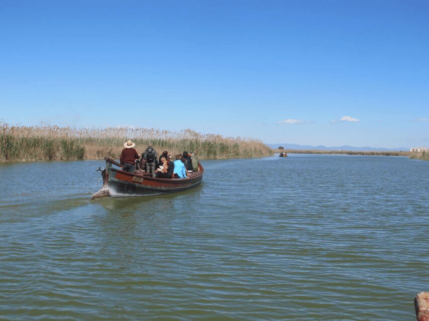 Valencia: 48-Hour Hop-On-Hop-Off Bus & Albufera Bus Tour - Who this tour suits best (and who should rethink it)