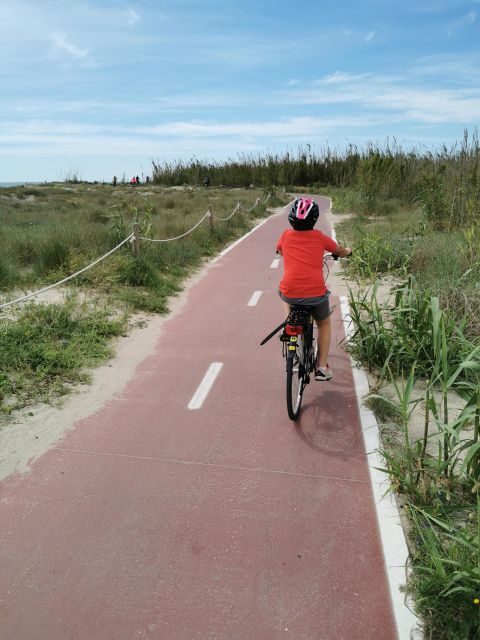 Valencia: Albufera Natural Park Bike and Boat Tour - Key highlights you can count on