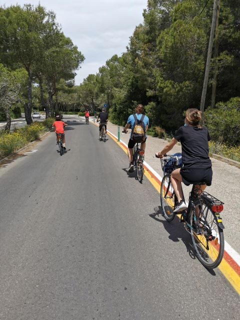 Valencia: Albufera Natural Park Bike and Boat Tour - The boat: the canals, the rice fields, and the wildlife story