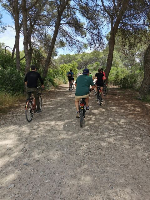 Valencia: Albufera Natural Park Bike and Boat Tour - Price and value: why $43 can make sense