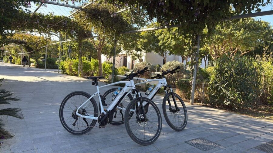 Valencia all in one: beaches, old town & city arts by E-bike - Turia Gardens bridges: where the ride turns scenic