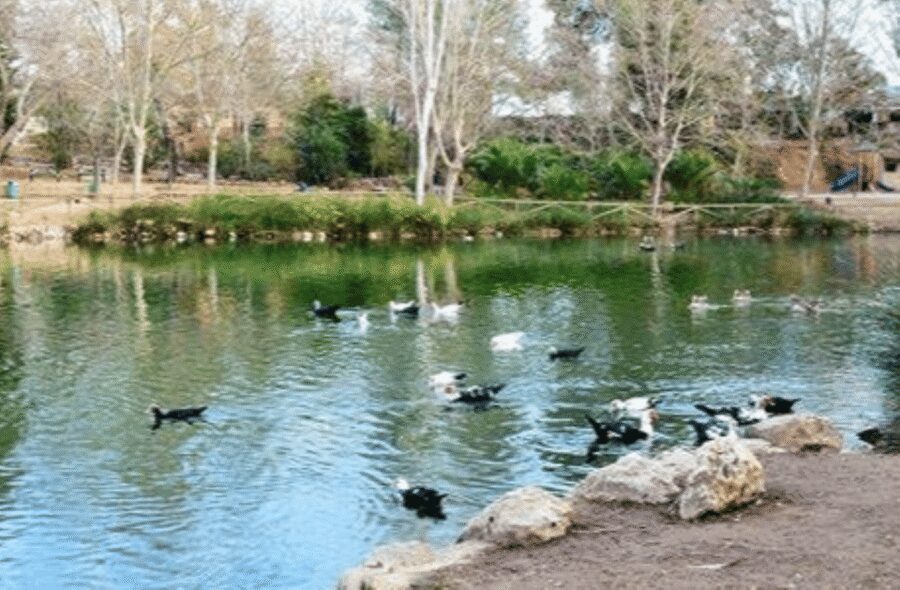 Valencia: Anna Alhambra and 3 Waterfalls Guided Tour - Key Points You Should Know Before You Go