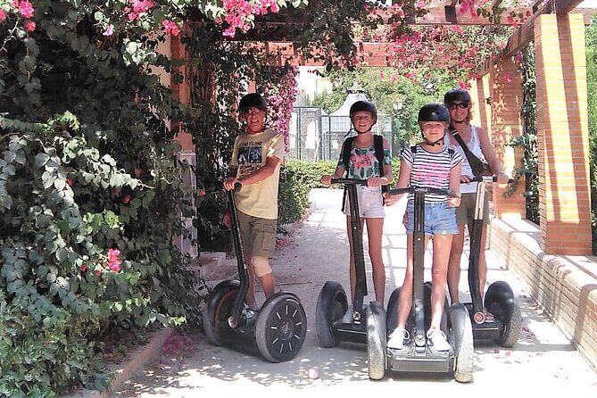 Valencia Arts and Nature Segway Tour 2hs - Starting in Ciutat Vella: Where the Tour Gets You Moving