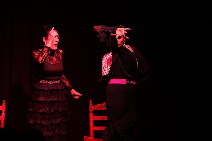 Valencia: Authentic Flamenco Show Entry Ticket - Price and Value in Valencia: What $23 Actually Buys