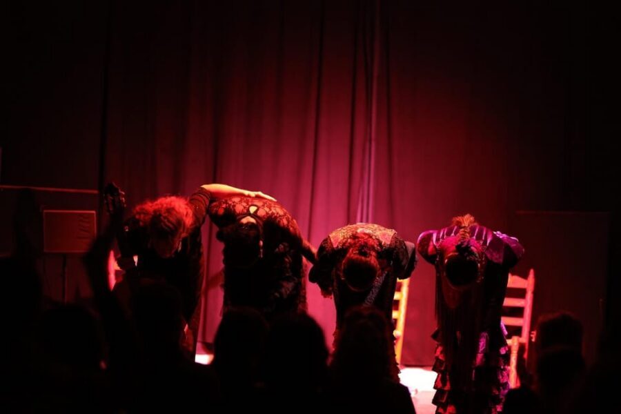 Valencia: Authentic Flamenco Show Entry Ticket - Who This Flamenco Ticket Is Best For