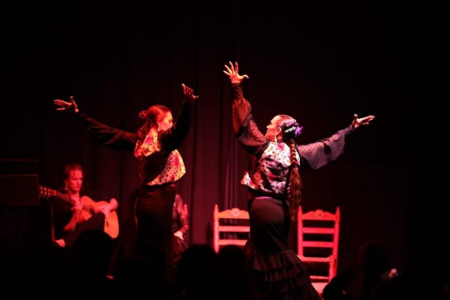 Valencia: Authentic Flamenco Show Entry Ticket - The 1-Hour Show: Dance, Guitar, and Singing in One Story