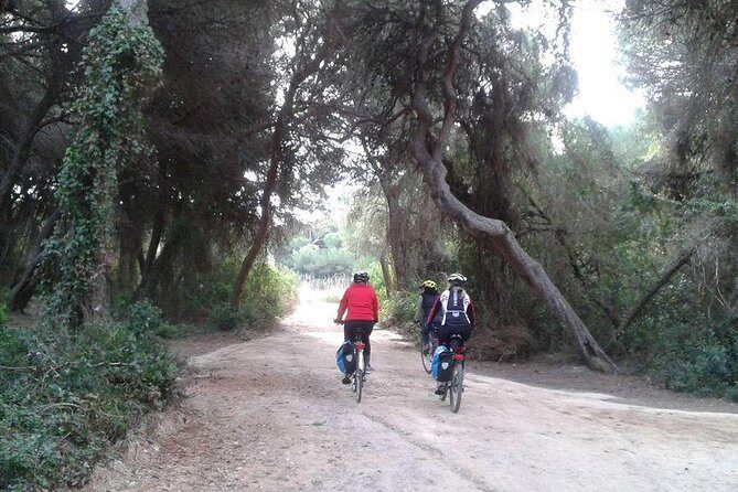Valencia Bike or Segway Tour - Jardi del Turia: the former river turned park corridor