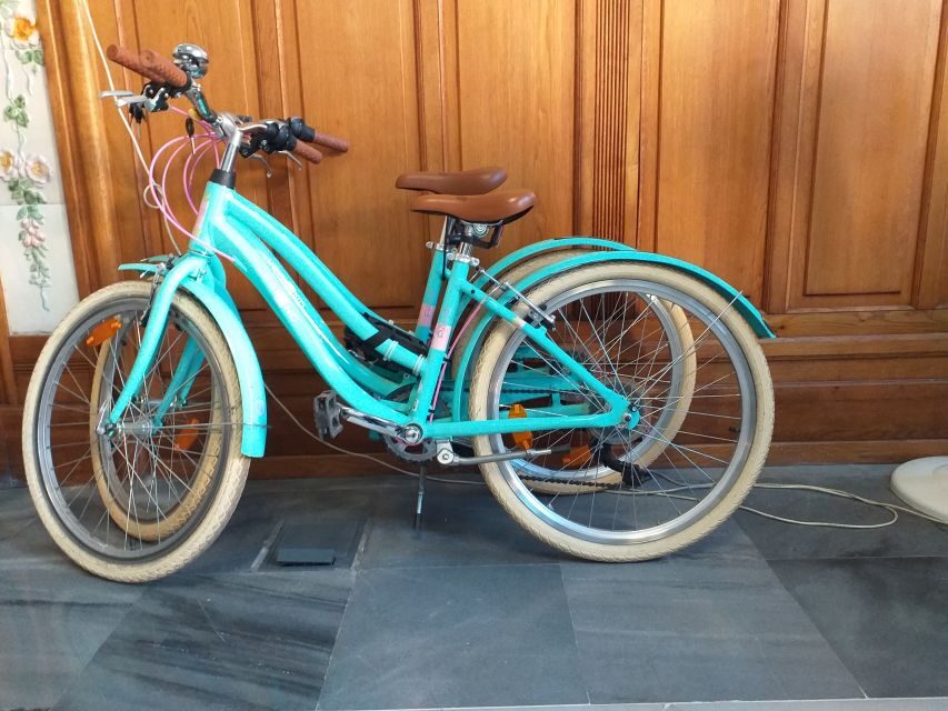 Valencia: Bike Rental for 1 to 4 Days - Key Things I’d Prioritize Before You Go