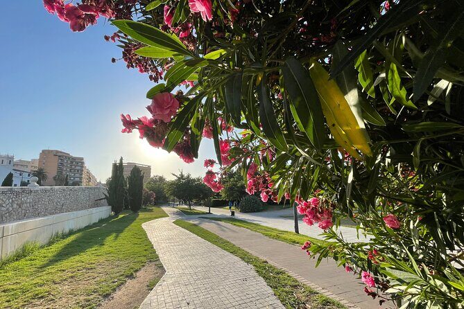 Valencia Bike Tour: Top Sights and City of Arts & Sciences - Museo del Corpus Casa de las Rocas + Torres de Serranos