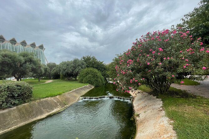 Valencia Bike Tour: Top Sights and City of Arts & Sciences - Puente de l’Exposició and the Calatrava thread to Jardi del Turia