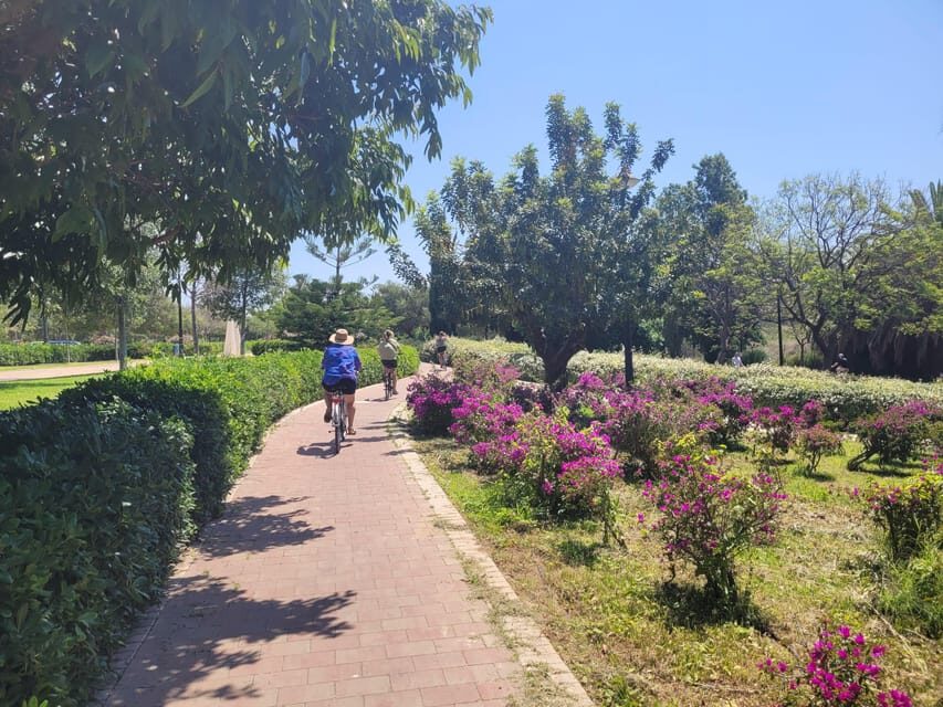 Valencia, Biketour of all the city with a local guide - Key highlights you’ll care about