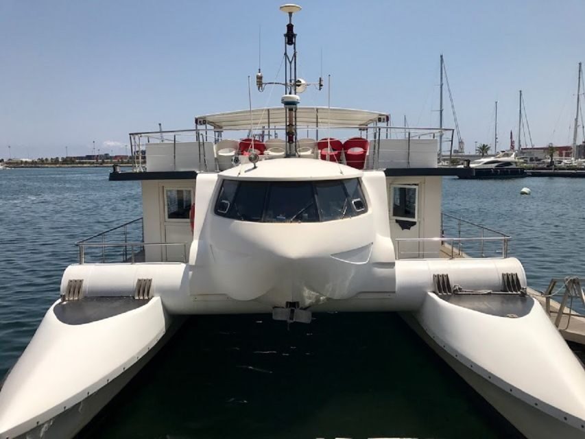 Valencia: Catamaran Cruise, Paella Lunch and Swim Stop - Key highlights worth your time
