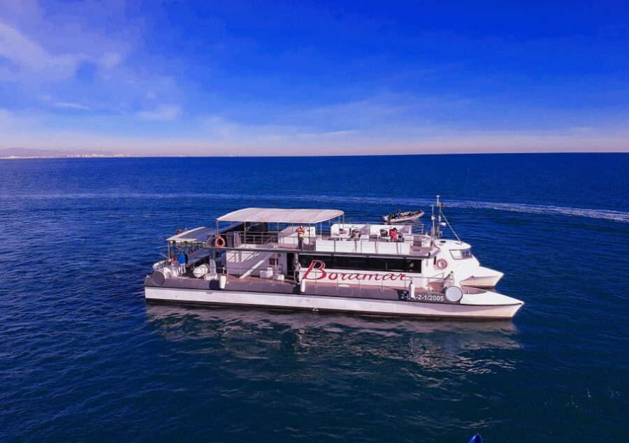 Valencia: Catamaran Cruise with Stop for Swimming - Key things that make this catamaran cruise worth your time