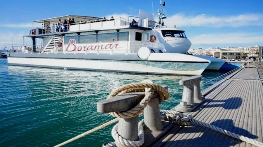 Valencia: Catamaran Cruise with Stop for Swimming - The Port Saplaya anchored swim stop: what to expect in the water