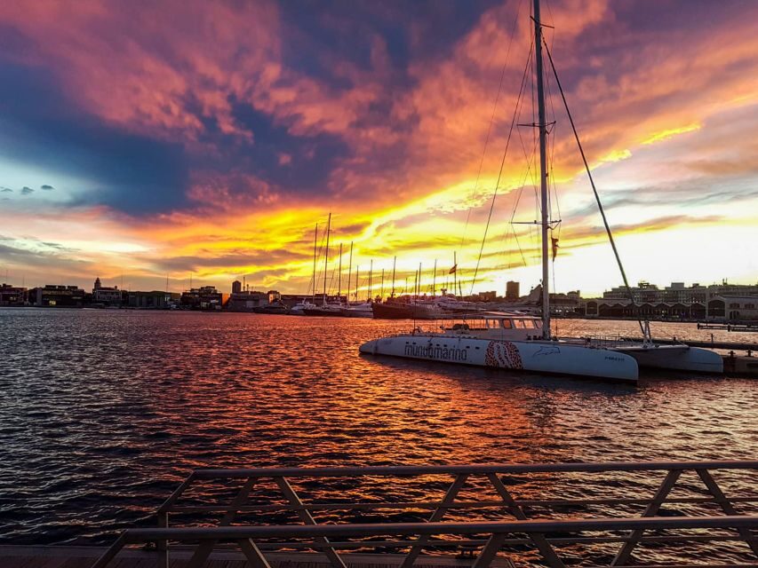 Valencia: Catamaran Cruise with Sunset Option - Weather Reality: Cold Wind, Choppy Water, and Staying Comfortable