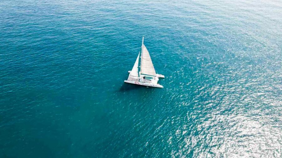 Valencia: Catamaran Cruise with Swimming & Optional DJ - How the Timing Actually Feels On the Water