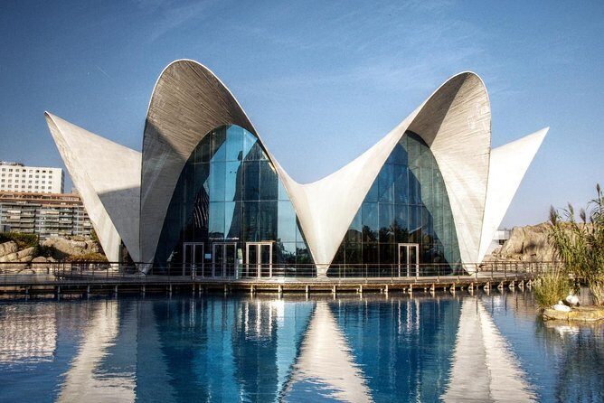 Valencia City Excursion - From Albir, Benidorm & Calpe - Timing and Comfort: The 10–12 Hour Day Factor