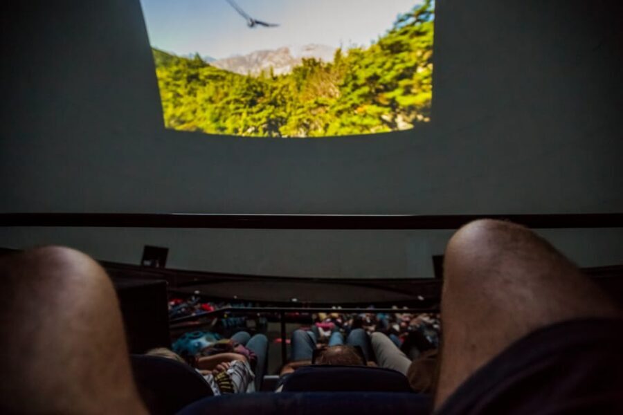 Valencia: City of Arts and Science 3D Movie at Hemisfèric - Choosing the right movie: show times really do change the experience