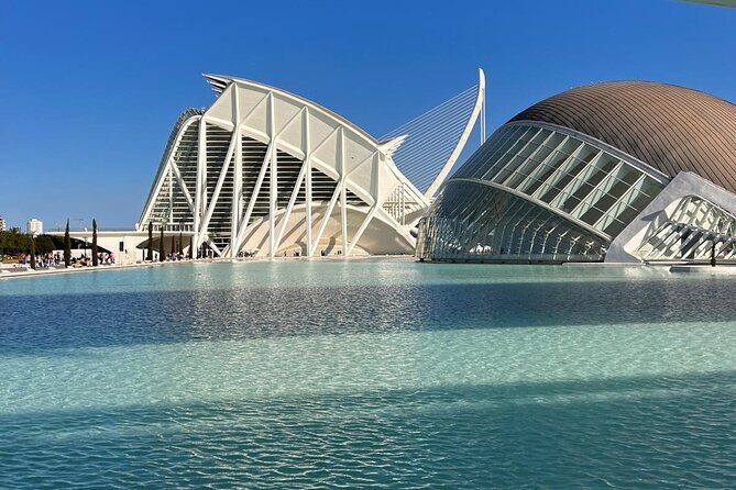 Valencia: City of Arts and Sciences Private Walking Tour - Price and value: is $139.03 per person worth it?