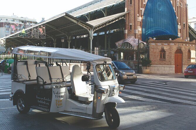 Valencia Complete Tour by Tuk Tuk - A Quick Hit on Valencia’s Museums: Modern Art, Fine Arts, and What You’ll See From the Road
