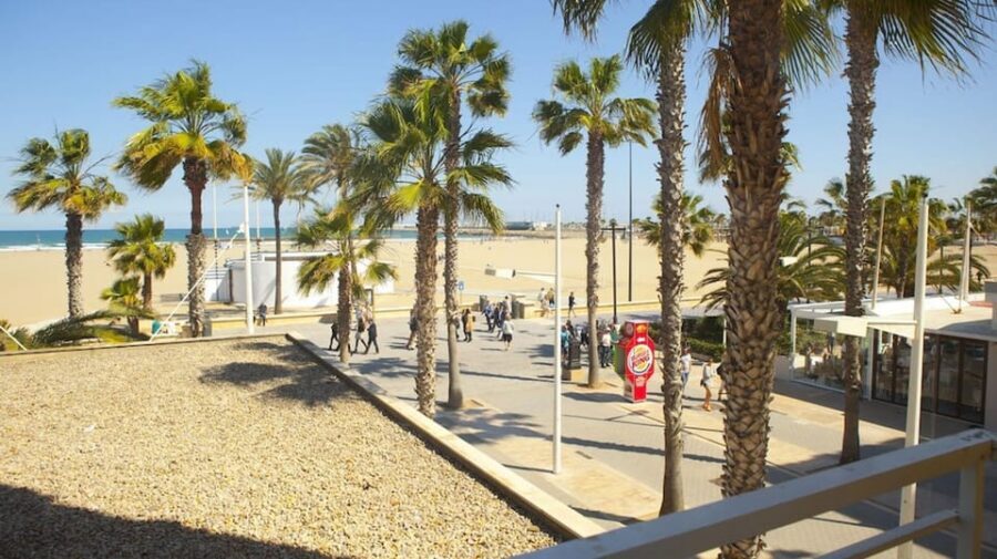Valencia: Fantastic Segway Tour from the Center to the Beach - City of Arts and Sciences: modern architecture with context in 10 minutes