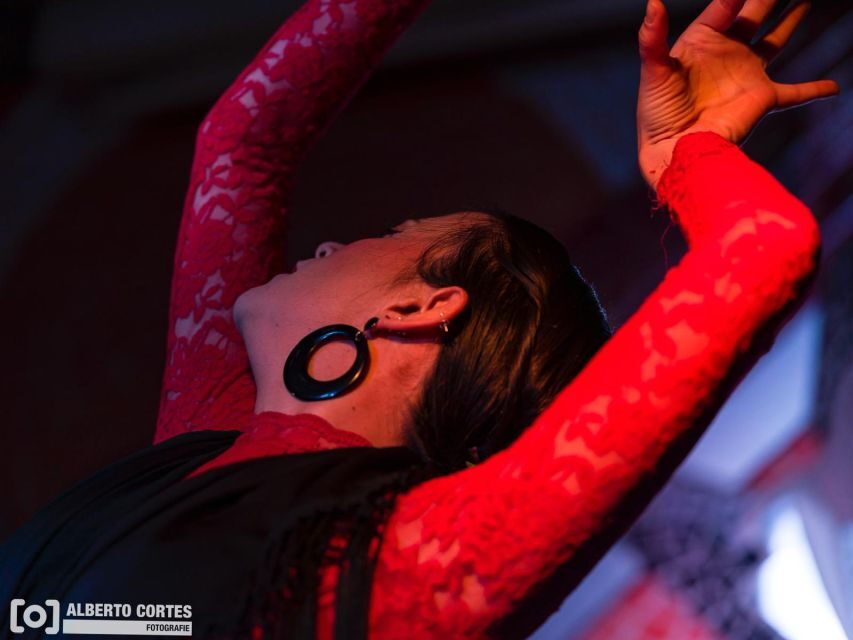 Valencia: Flamenco at Toro y La Luna with optional Dinner - The show itself: seven live artists and a real 90-minute production