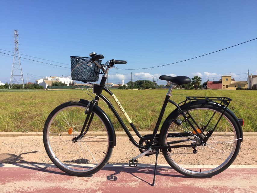Valencia: Horchata Bike Tour - Key Highlights You’ll Actually Care About