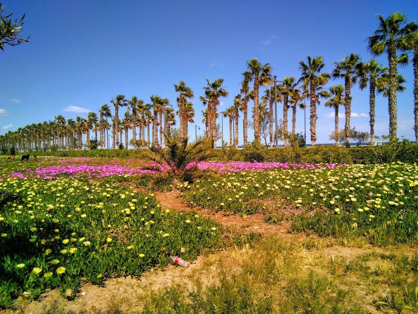 Valencia: Horchata Bike Tour - Coastal Push: Mediterranean Views Before the Farmland