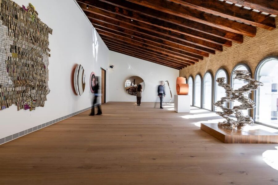 Valencia: Hortensia Herrero Art Center Ticket or Guided Tour - Contemporary art inside real historical layers (Roman circus, Jewish quarter, more)