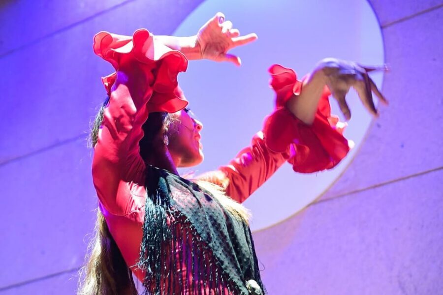 Valencia: La Linterna Flamenco Show - Price and Value: Is About $25 Worth It?