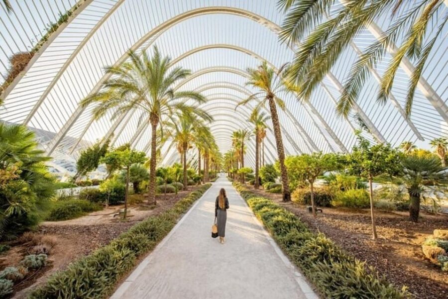 Valencia: Must-See Attractions Walking Tour - Walking Starts Where Valencia’s Story Starts: Carrer del Mur de Santa Anna