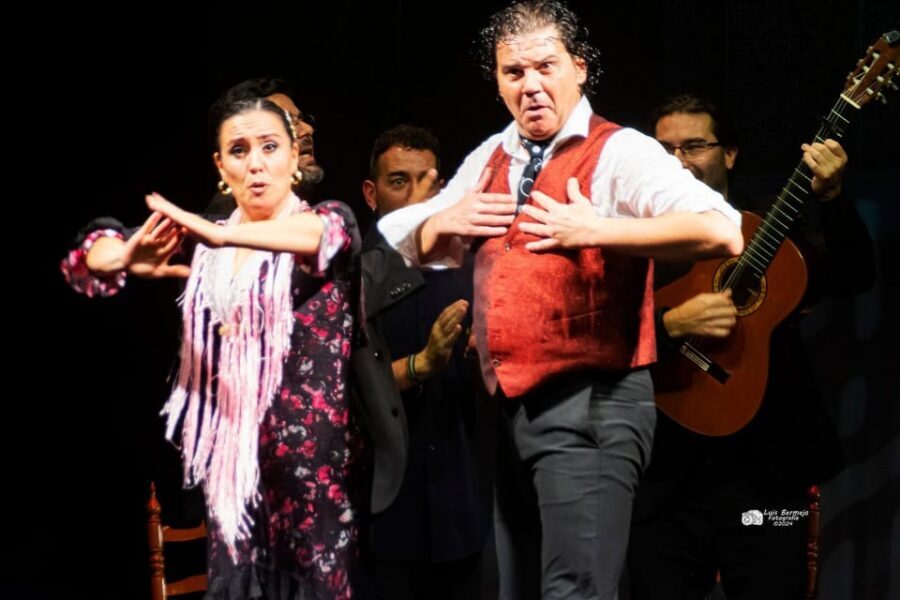Valencia: New Flamenco Show in the Most Emblematic Theater of the City - Key Highlights You’ll Care About