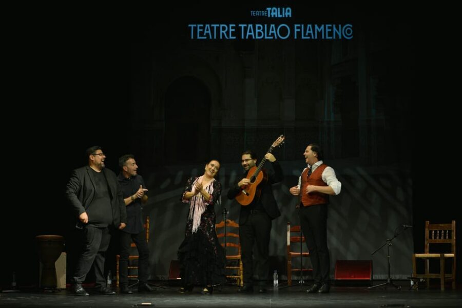 Valencia: New Flamenco Show in the Most Emblematic Theater of the City - Meet the Performers: The Names That Power the Night