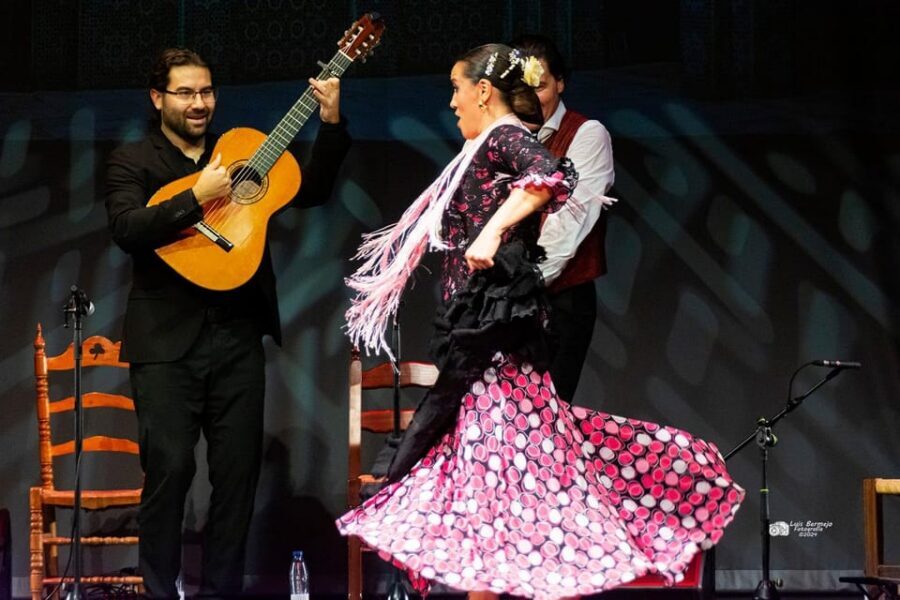 Valencia: New Flamenco Show in the Most Emblematic Theater of the City - Who Should Book This Thursday 17:30 Flamenco?