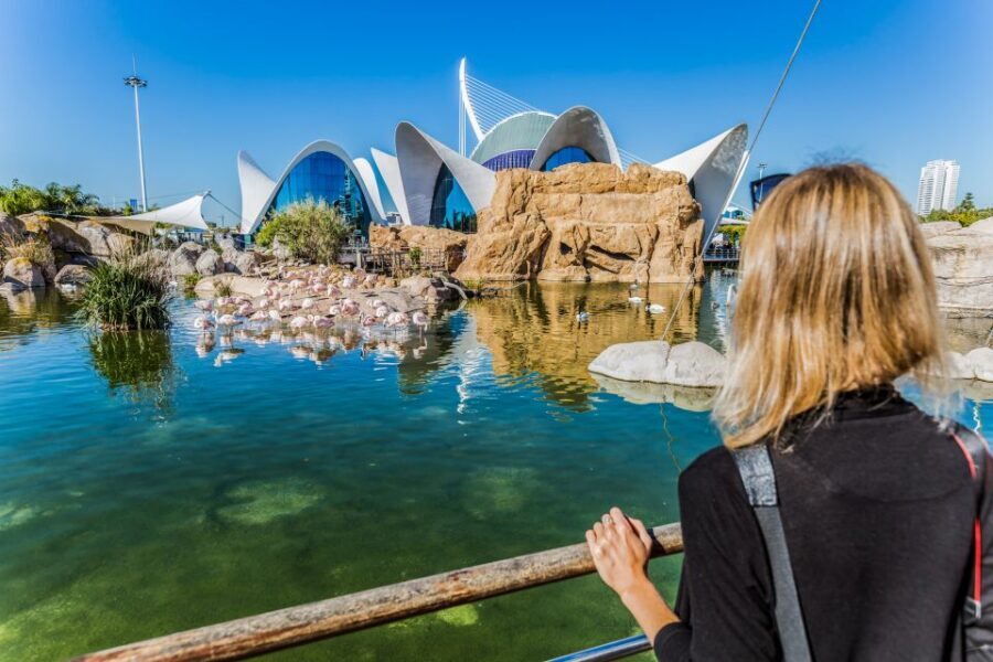 Valencia: Oceanogràfic Entry Ticket - Should You Book This Valencia Experience?