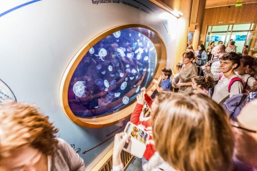 Valencia: Oceanogràfic Entry Ticket - Food, Crowds, and Comfort: How to Avoid a Squeezed Day