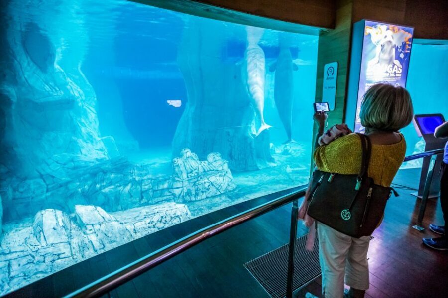 Valencia: Oceanogràfic Entry Ticket - Who Should Book Oceanogràfic (and Who Might Skip It)