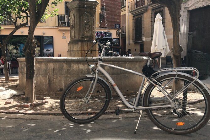 Valencia Old Town Private Tour by Bike or Electric Ride - Stop 7: Central Market of Valencia, shopping grounds with deep roots