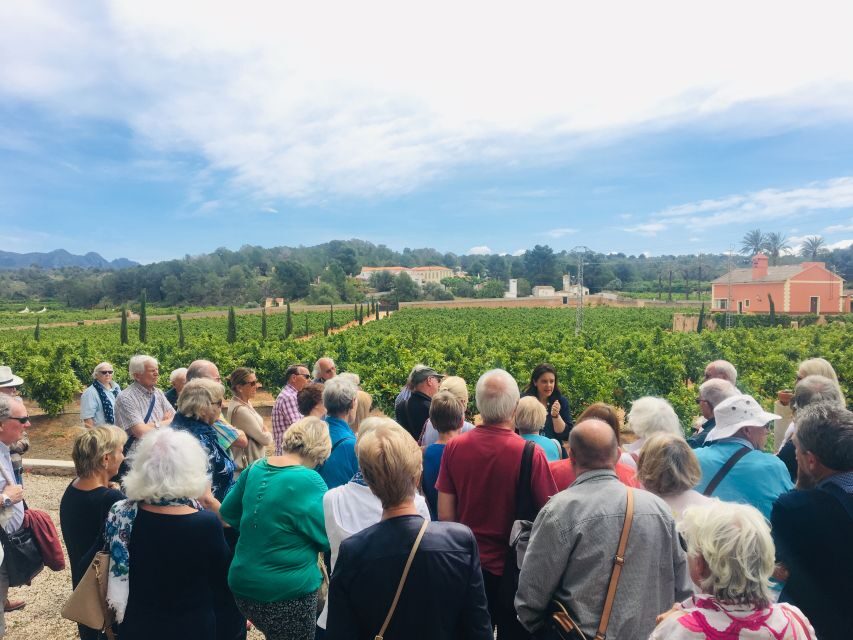 Valencia: Orange Farm and Orchard Trip with Tastings - Pick-Your-Own Oranges: What You Can Take Home (and When)