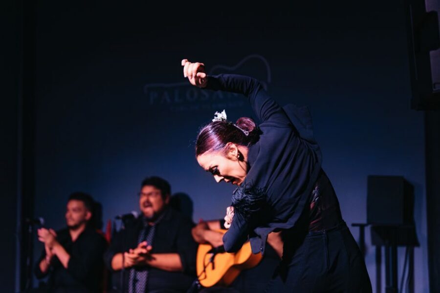 Valencia: Palosanto Flamenco Show Ticket - Entering Palosanto: A Valencia Night in Cabañal